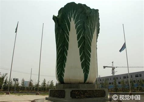 山东聊城巨型“白菜”雕塑亮相农产品市场 谐音寓意“百财聚来” - 每日头条