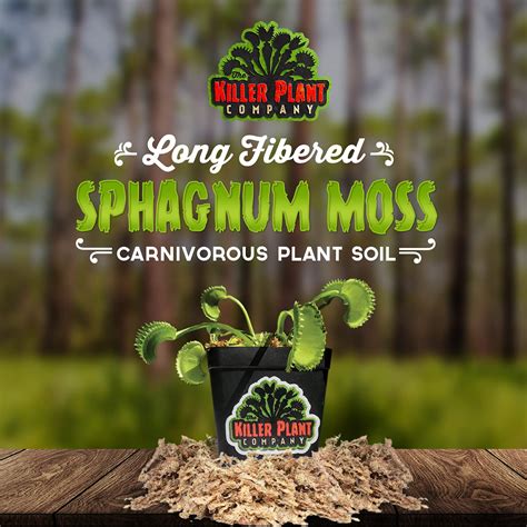 Venus Fly Trap Soil - Long Fibered Sphagnum Moss - 2 Quarts - New ...