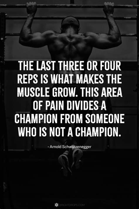 Workout Quotes Arnold Schwarzenegger
