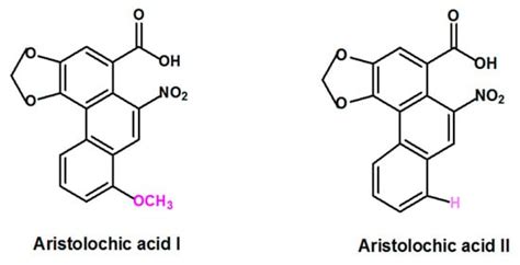 Aristolochic Acid-Induced Nephrotoxicity: Molecular Mechanisms and ...