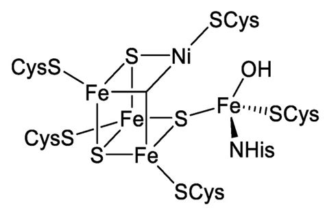 Synergistic Catalysis in Heterobimetallic Complexes for Homogeneous ...