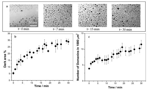 Interaction of a Polyarginine Peptide with Membranes of Different ...
