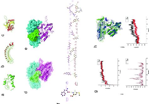 Molecular Dynamics Simulation 的图像结果