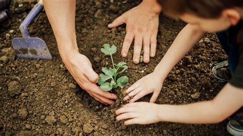 Image result for Spring Lessons