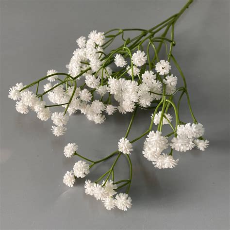 Baby S Breath Flower In Bengali at David Quintanilla blog
