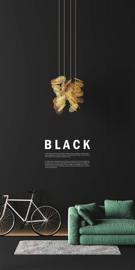 black-黑-欧莱凯设计网