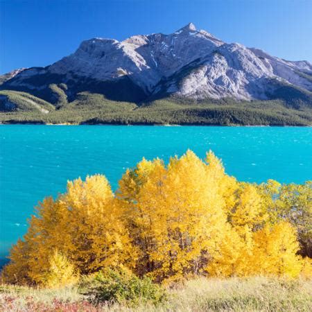 Abraham Lake Tourism (2024): All You Need to Know Before You Go