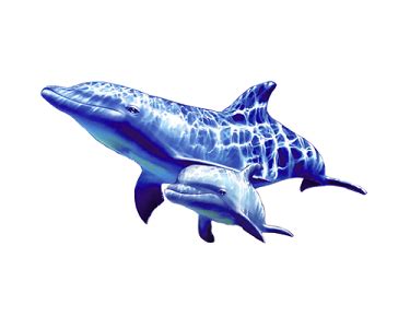 蓝色水彩海豚海洋素材免费下载 - 觅知网
