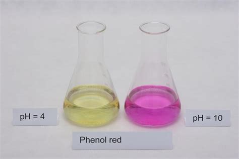 Image result for Phenol Red Color Chart
