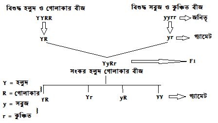 Class 10 Model Activity Task 2021 Life Science Part 6 PDF Download
