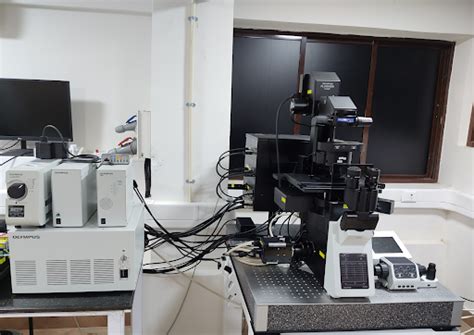 CONFOCAL LASER SCANNING MICROSCOPE | CIF & CMFF