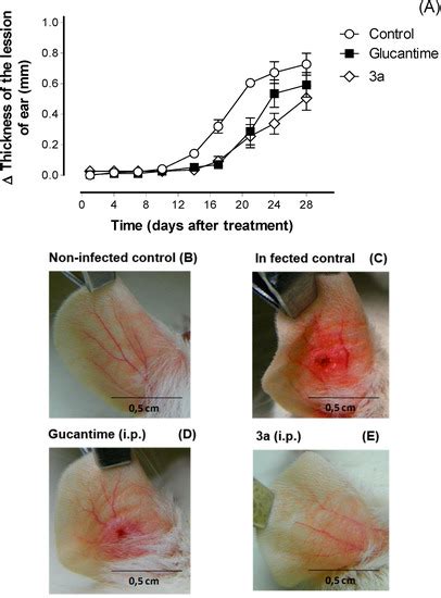 Synthesis, Leishmanicidal Activity and Theoretical Evaluations of a ...