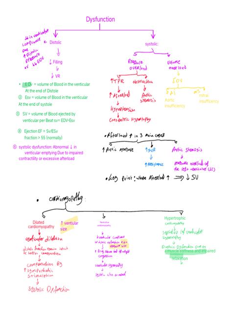 Systolic and Diastolic Dysfunction | PDF | Diastole | Ventricle (Heart)
