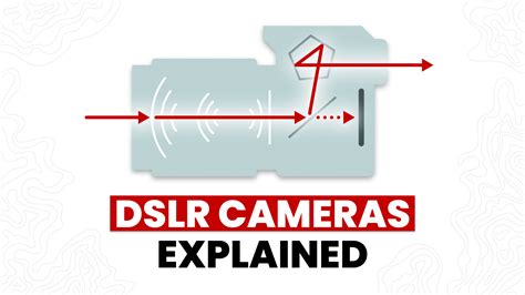 What is a DSLR Camera? The Beginner's Guide /// New Territory Media