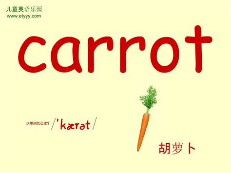 单词carrot