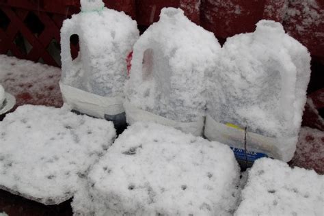 The Ultimate Guide to Seed Starter Soil: Tips for Successful Seed ...