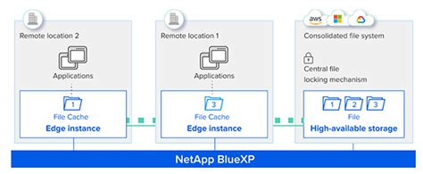 Image result for NetApp Cluexp Classification