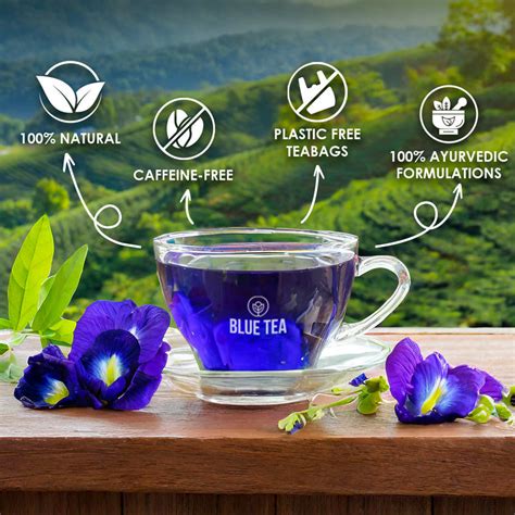 Blue Tea for Different Types of Belly Fat Guide – Blue Tea | Health in ...