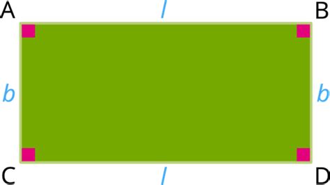 Area — lesson. Science State Board, Class 7.