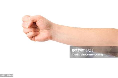 Image result for Python Wrapped around Body