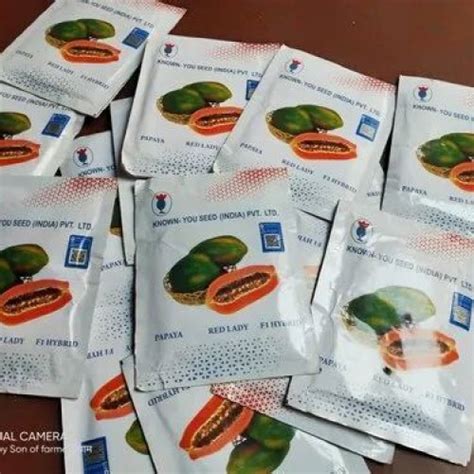 Taiwan Red Lady 786 Papaya Seeds Manufacturer, Supplier from Indore