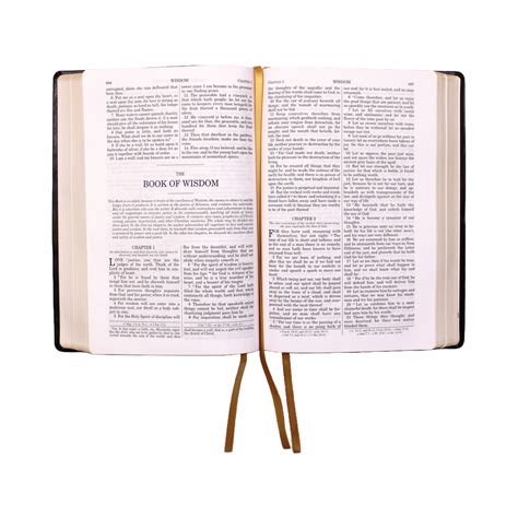 Image result for Douay-Rheims Bible