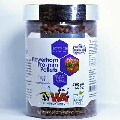 Fish Addicts Aquarium Store, Pune - Order Online