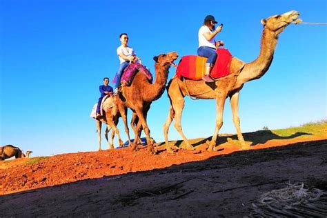 2025 Atlas Mountains and 3 Valleys & Waterfalls - Camel Ride Marrakech