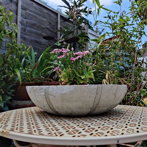 How To Make Large Concrete Bowl Planters at Richard Montejano blog