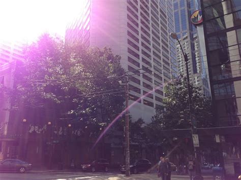 Image result for iPhone 5 Camera Tutorial