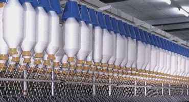 Maral Overseas Limited