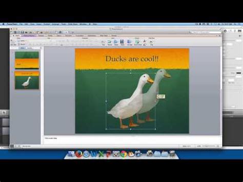Image result for PowerPoint Tutorial Beginner