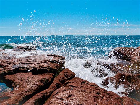 PL Picks: Bar Harbor Dining Guide — Provincial Leisure