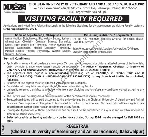 Cholistan University of Veternary & Animal Sciences Jobs January 2024