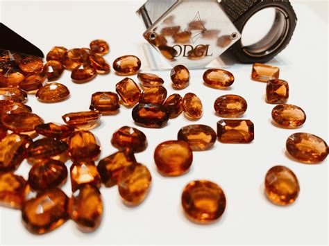 Buy Certified Gomed Stone in Chandigarh | ODGL Lab