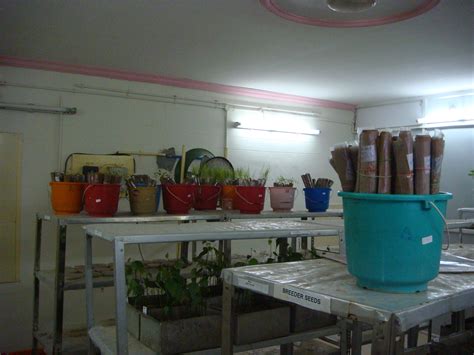 Seed Technology :: Quality Control