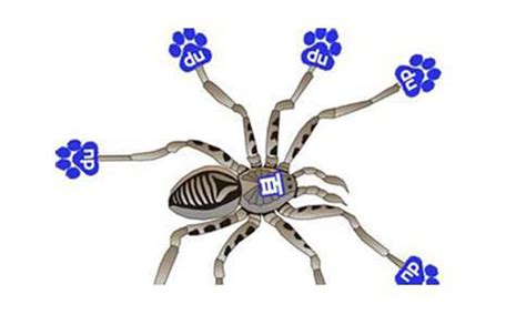 蜘蛛的繁殖方式，附蜘蛛的种类介绍 - 农敢网