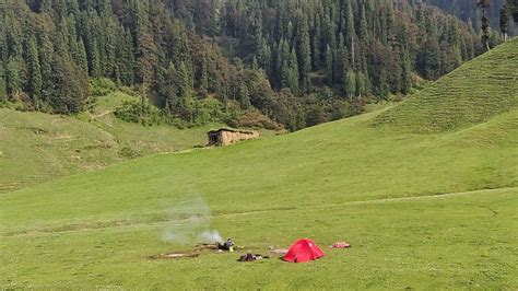 Bhal Padri Opens To Tourists: J&K’s ‘Valley of Flowers’ Gets Road Access