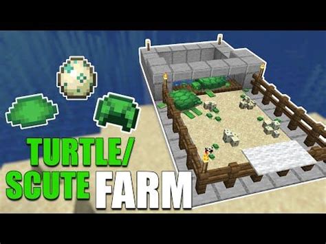 Image result for Minecraft Turtle Farm Tutorial