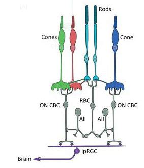 Image result for Tristimulus Colorimeter
