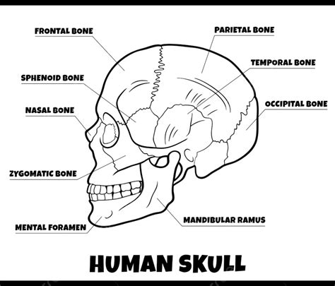 Image result for Example of Learning Program in School