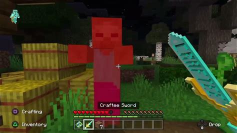 Image result for Craftee Minecraft Server