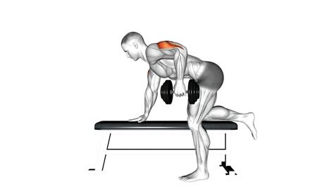 10 Effective Lateral Head Of Tricep Exercises To Sculpt Your Arms ...