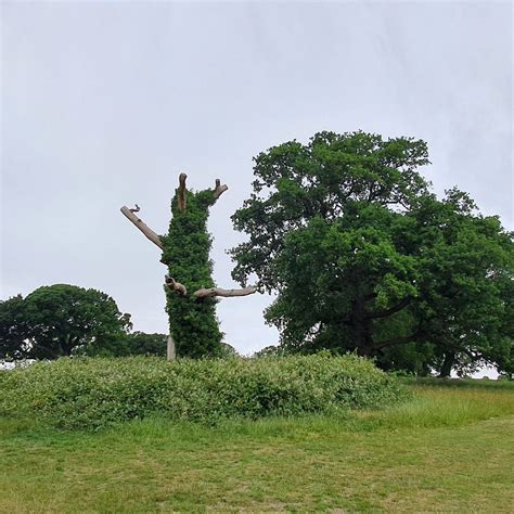 MORDEN PARK (2026) All You Need to Know BEFORE You Go (with Photos ...