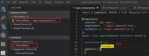 Image result for Visual Studio Code Share Live