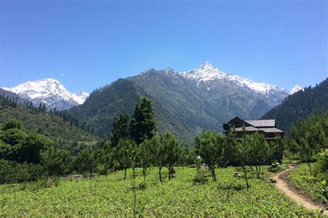 Barshaini & Kalga-Tulga-Pulga, Pulga - TimesTravel