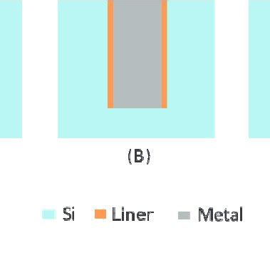 Image result for TSV Program