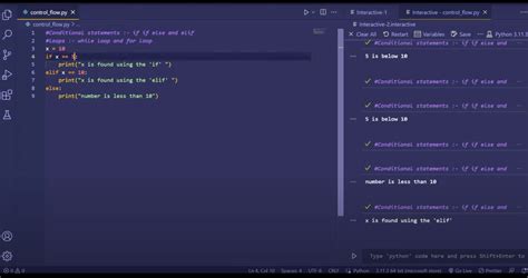 Image result for Python Coding Designs