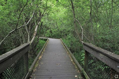 About North Rose Hill | Schools, Demographics, Things to Do - Homes.com