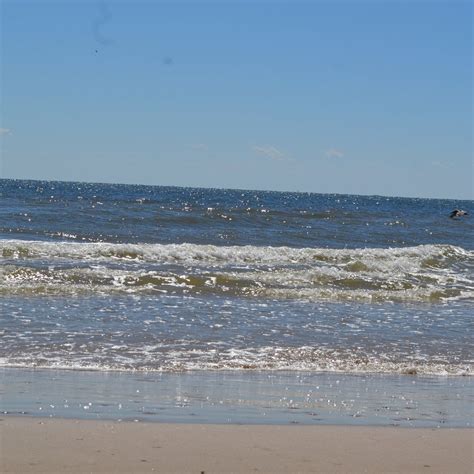Matagorda Beach: All You Need to Know BEFORE You Go